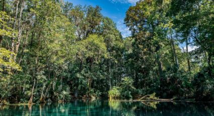 Itzamatitlan, el manantial de aguas termales para chapotear cerca de la CDMX por 60 pesos