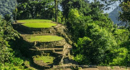 Ciudad Perdida, una de las zonas arqueológicas más antiguas de América que está en Colombia