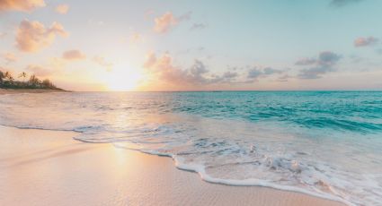 Playa Platanitos: el paraíso natural que ha sido reconocido como Santuario por su incomparable belleza