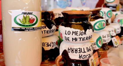 ¡La bebida de los dioses! Expo Pulque 2024 VUELVE para conquistar tu paladar