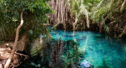 El sitio de aguas termales curativas y baño prehispánico para relajarte en Veracruz