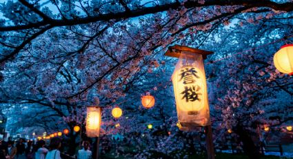 ¿Cuáles son los mejores meses para viajar a Japón?