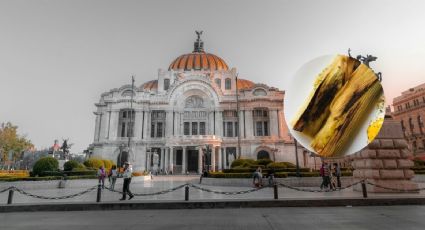 Día de la Candelaria: ¿Dónde probar tamales deliciosos en la CDMX?