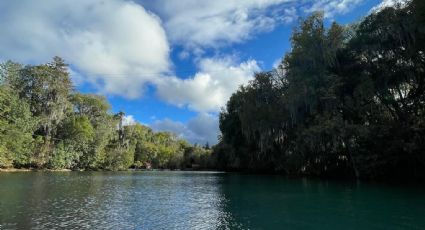 Bosque de las Truchas, el lago azul turquesa para pedir tu deseo a las hadas cerca de CDMX