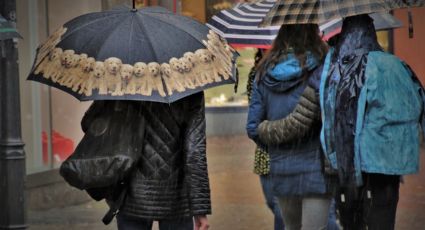 Heladas, viento y lluvias para hoy jueves 25 de enero por Frente Frío 30