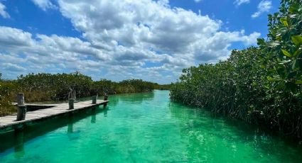 La laguna de aguas cristalinas y tonalidades azules ‘oculta’ en la Riviera Maya