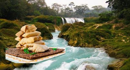 Festival del Tamal llega a Chiapas con una mezcla de sabores que incluye rico chocolate: FECHA