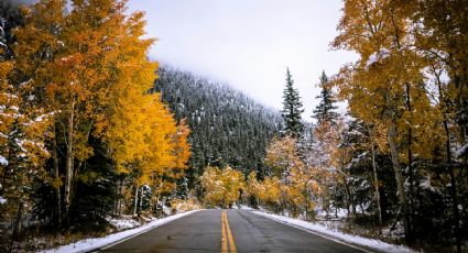 ¡Finaliza enero con caída de nieve! Pronóstico para hoy miércoles 31 de enero