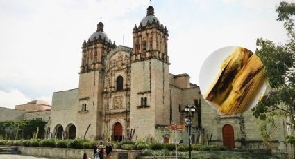 Día de la Candelaria: ¿Dónde comer exquisitos tamales si estás de viaje por Oaxaca?