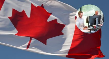 Embajada de Canadá anuncia vacante para trabajar por más de 34 mil pesos ¡SIN SALIR DE MÉXICO!