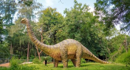 ¡Imperdible! Los dinosaurios llegan a la CDMX con exhibición de nidos, huevos y garras