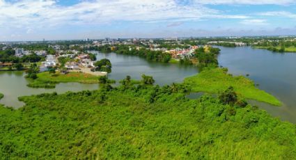 Laguna de las Ilusiones, el sitio de ensueño para disfrutar un recorrido único por Tabasco en 2024