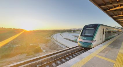 Tren Maya: la guía turística que hizo el Washington Post sobre este transporte mexicano