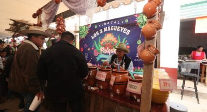 Vuelve la Festival del Pulque 2024 a Tlaxcala con más de 20 productores locales: FECHAS