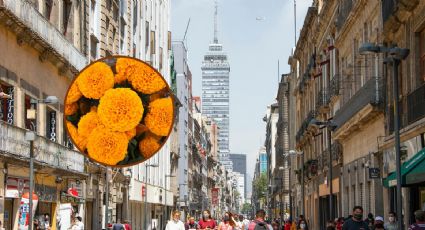 Día de Muertos: Estos son los mercados de la CDMX para comprar cempasúchil para la ofrenda