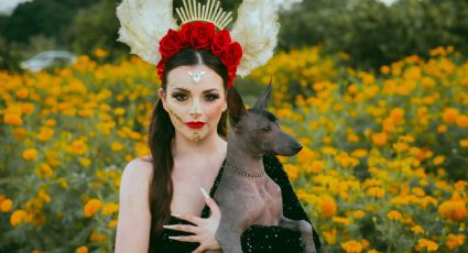 Día de Muertos: Esta es la leyenda del Xoloitzcuintle, el perro guía hacia el Mictlán