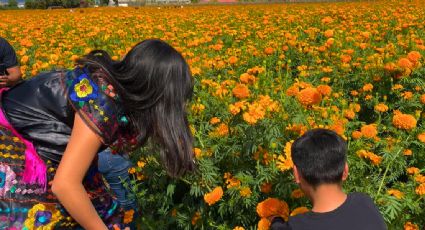 ¿Cuánto cuesta ir a Copándaro desde la CDMX para disfrutar del Día de Muertos en Michoacán?