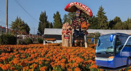 ¿Cuánto cuesta ir a Atlixco desde la CAPU para disfrutar el Valle de Catrinas?