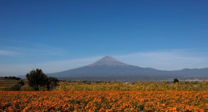 ¿Enamorado? Volcán Popocatépetl lanza fumarolas en forma de corazón y se hace viral