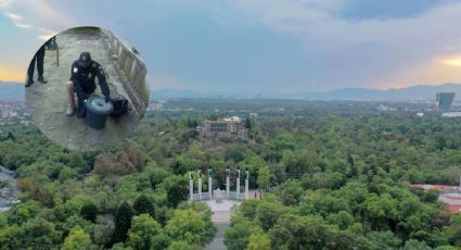 ¿Cómo llegó? Así fue el hallazgo de una víbora de cascabel en el Bosque de Chapultepec