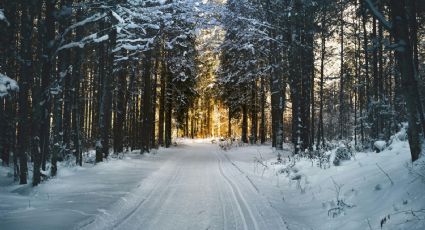 ¿Nevará en México? Estos son los destinos en los que se esperan frentes fríos con nieve