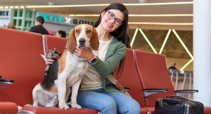 ¿Viajas con tu perrito? Aeropuerto de Guadalajara comparte área pet friendly para tu mejor amigo