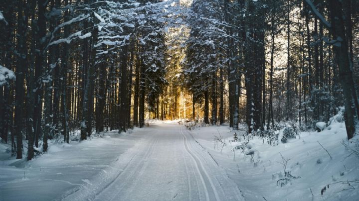 ¿Nevará en México? Estos son los destinos en los que se esperan frentes fríos con nieve