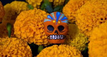 Día de Muertos: ¿Dónde probar el exquisito pulque de Cempasúchil?