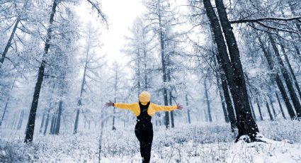 ¡Llegan las primeras nevadas!: Así el clima hoy lunes 28 de octubre