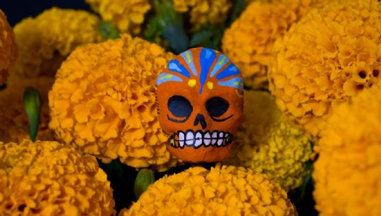 Día de Muertos: ¿Dónde probar el exquisito pulque de Cempasúchil?