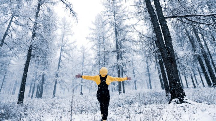 ¡Llegan las primeras nevadas!: Así el clima hoy lunes 28 de octubre