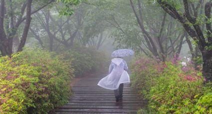 ¡Más lluvias!, granizo y calor para este viernes 4 de octubre