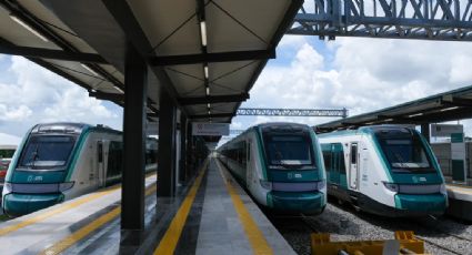 Tren Maya: Usuario comparte su experiencia de ACCESIBILIDAD para viajar en sus vagones