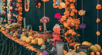 Día de Muertos: ¿Cómo se les llama a las flores de cempasúchil en otros países?