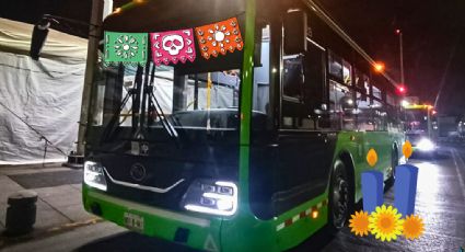 Día de Muertos en CDMX: Anuncian servicio de NOCHEBUS para visitar las ofrendas por 7 pesos