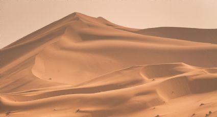 Dunas de Bilbao: El hermosos mar de arena que debes conocer en un Pueblo Mágico de Coahuila