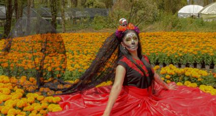 Día de Muertos 2024: Xochimilco te espera para disfrutar el Retorno al Mictlán esta temporada