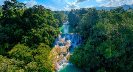 Cascada Roberto Barrios, el paraíso de Chiapas para disfrutar un chapuzón