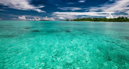 Paraísos en la tierra: Los destinos mexicanos para disfrutar de impresionantes aguas turquesa