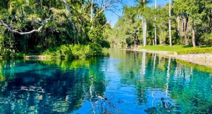 ¡Viajes baratos! El manantial más grande para nadar y refrescarte en Morelos