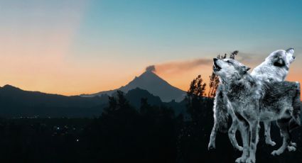 Popocatépetl: Los inquietantes aullidos captados en las inmediaciones del volcán