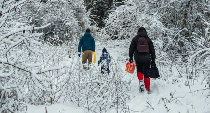 ¡Abrígate! Caída de nieve, frío y lluvias: Así el clima hoy 20 de noviembre en México