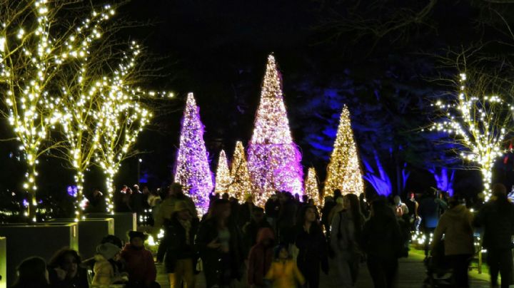 ¡Perfectos para diciembre! Recorridos navideños en los Jardines de México