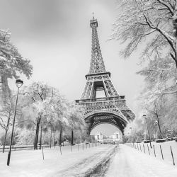 Nieve en París cautiva a viajeros con maravillosas postales de la Torre Eiffel