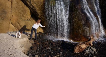 Video viral: Perrito brinca de alegría durante su visita a las Cataratas del Niágara