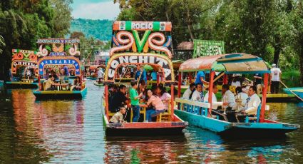 Navidad 2024 llega a Xochimilco con un pase especial para disfrutarlo campos de nochebuena