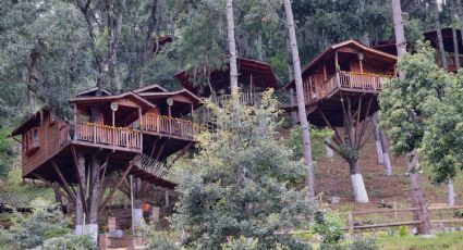 Cabañas y casas del árbol para dormir en un bosque al visitar Zacatlán de las Manzanas