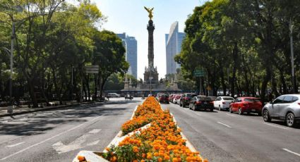 ¿Pasarás el fin de semana en CDMX? Las actividades GRATIS del 8 al 10 de noviembre