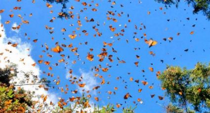 Valle de Bravo: El Pueblo Mágico para ver mariposas monarcas y contemplar cascadas en noviembre