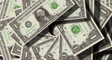 ¿Se recuperó? Así amaneció el precio del dólar hoy 8 de noviembre de 2024